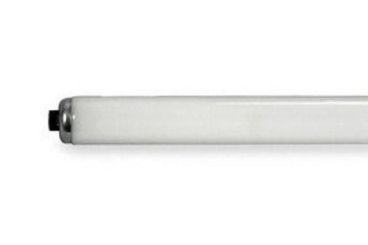 F60T12/D/HO-15PK #23077