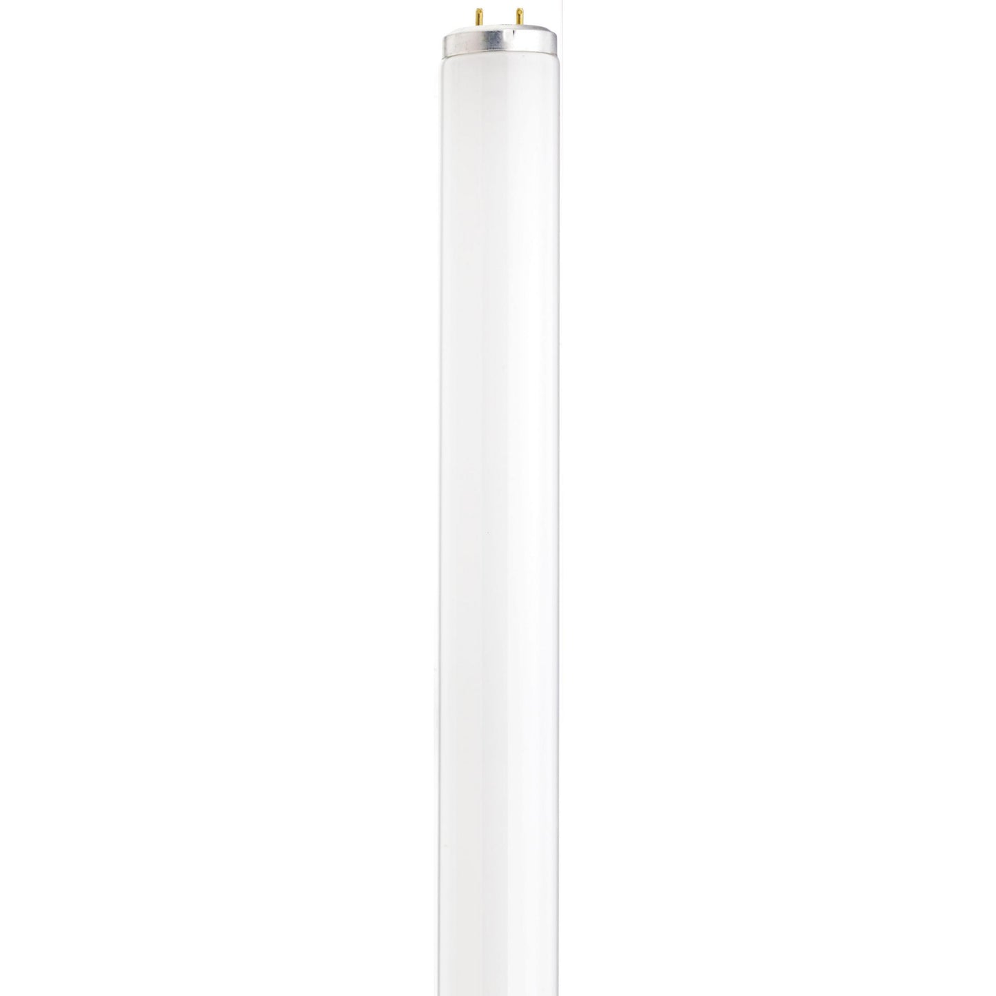 SATCO F25T12/CW/30" #S26569
