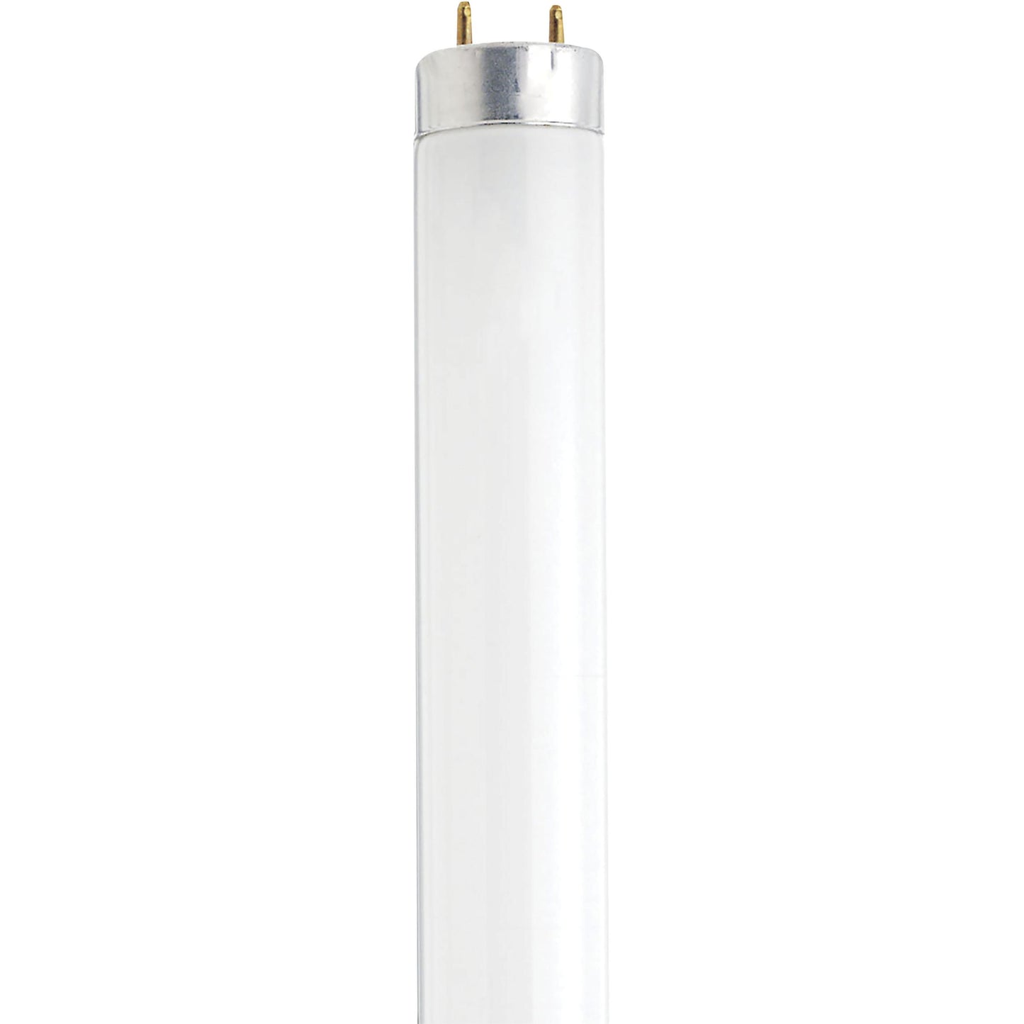SATCO F14T8/DAY #S27931