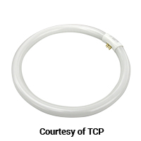TCP 32033