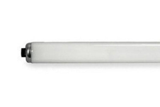 F60T12/D/HO-15PK #23077