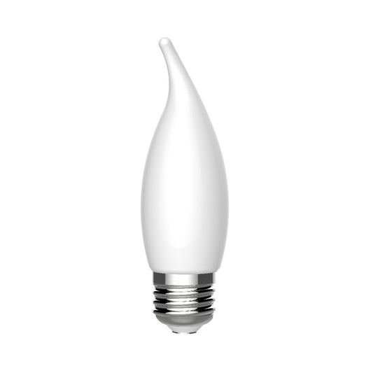 LED5DFCAM-W-2PK #93142852
