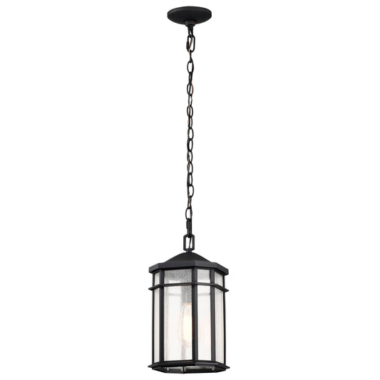 NUVO LIGHTING RAIDEN 1LT OUTDOOR HANGING #60/5759