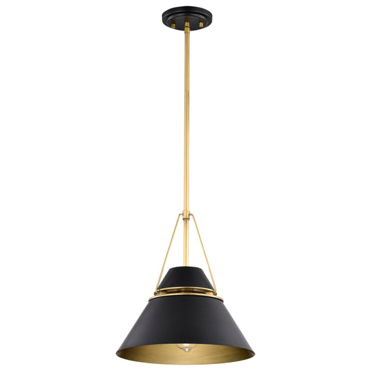 NUVO LIGHTING ADINA 1 LIGHT MEDIUM PENDANT #60/7766