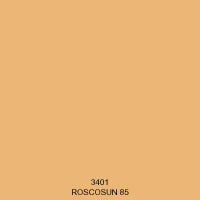 ROSCO SLEEVE 96