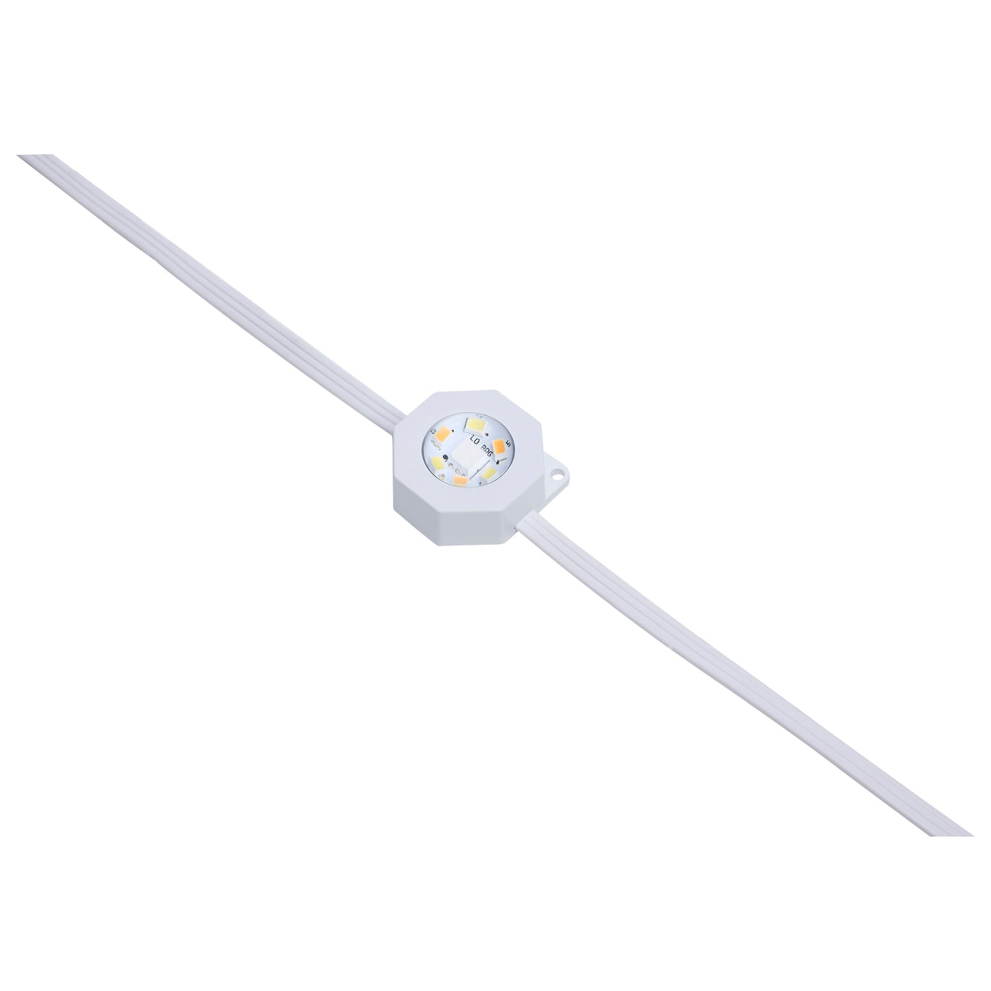 50FT/36LED/PSL/SF/RGBTWIC #S11297