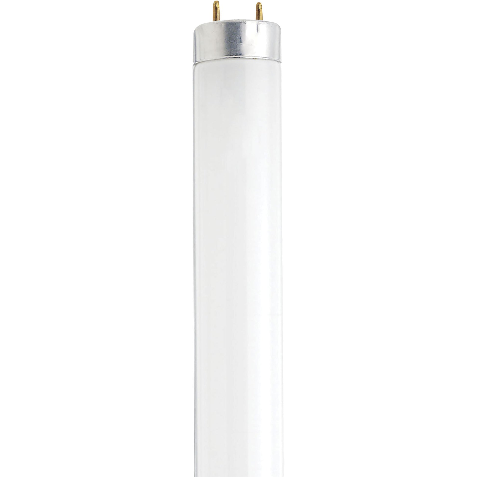 SATCO F14T8/DAY #S27931