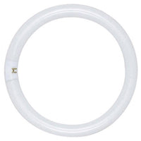 Circleline Lamps