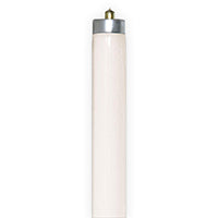 SATCO F72T8/CW
