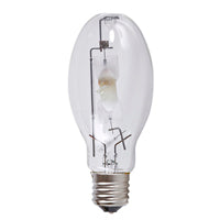 PHILIPS MS250/BU/PS 12PK #276618